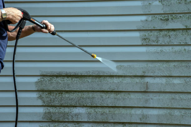 Best Sidewalk and Walkway Cleaning  in Camilla, GA