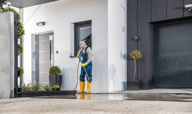 Best Soft Washing  in Camilla, GA